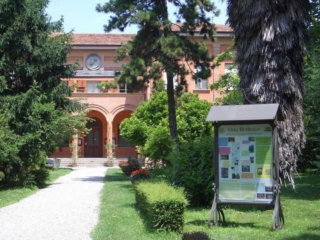 Interno dell'Orto Botanico di Bologna, ora parte dell'Università.