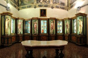 Interno Palazzo Poggi, Museo Bologna