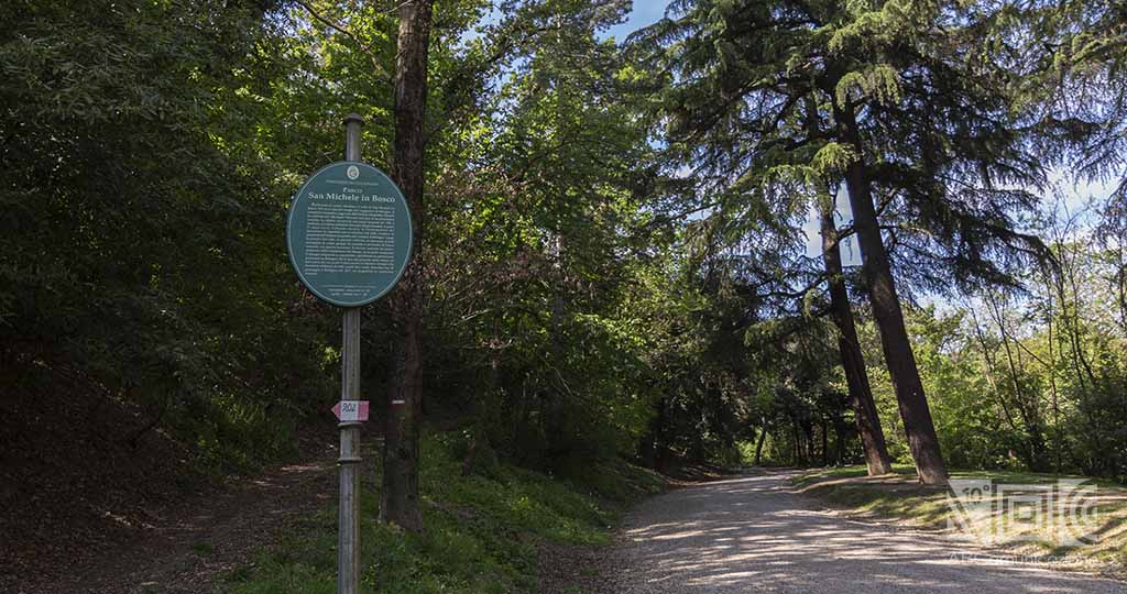 Parco di San michele in Bosco, San Michele in Bosco parco. 
