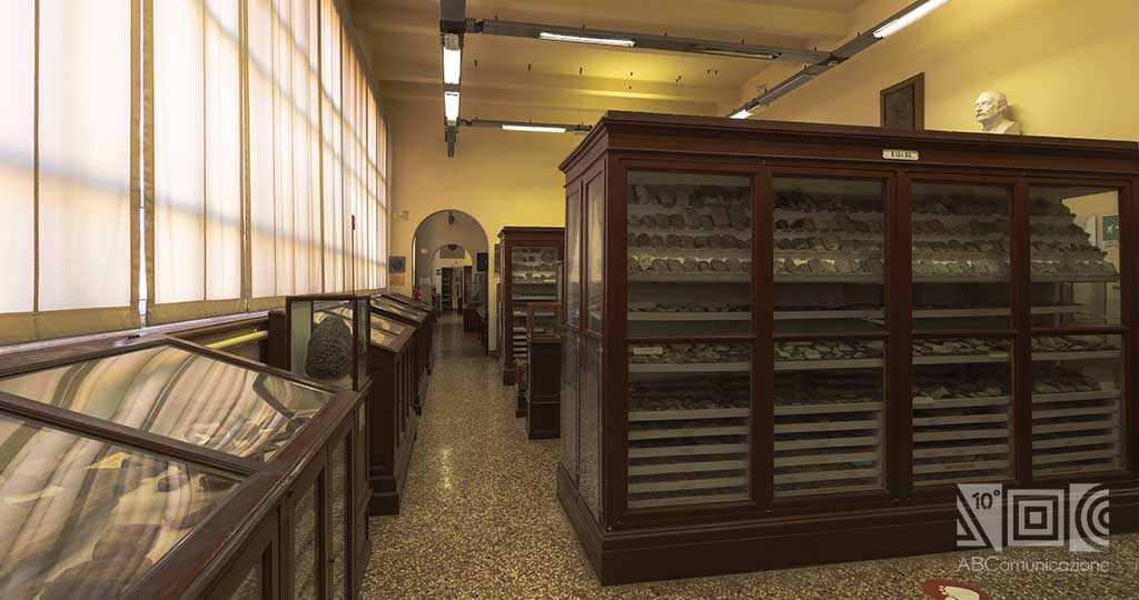 Museo Geologico Giovanni Capellini, Giovanni Capellini, Museo Geologico di Bologna, Bologna